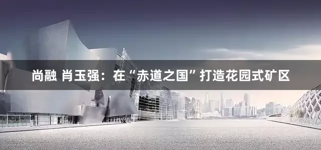 尚融 肖玉强：在“赤道之国”打造花园式矿区