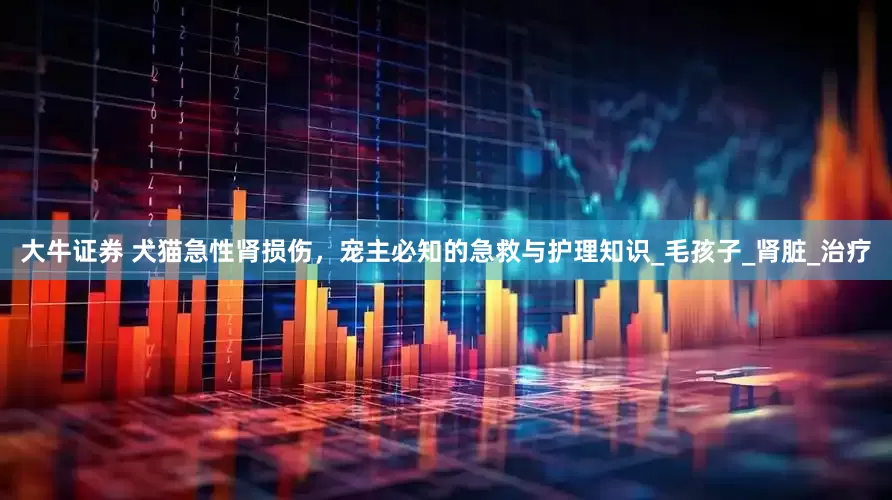 大牛证券 犬猫急性肾损伤，宠主必知的急救与护理知识_毛孩子_肾脏_治疗