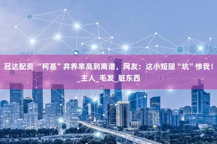 冠达配资 “柯基”弃养率高到离谱，网友：这小短腿“坑”惨我！_主人_毛发_脏东西