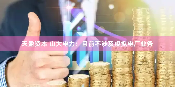 天盈资本 山大电力：目前不涉及虚拟电厂业务