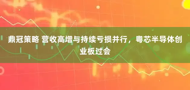鼎冠策略 营收高增与持续亏损并行，粤芯半导体创业板过会